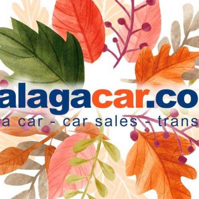 malagacar.com